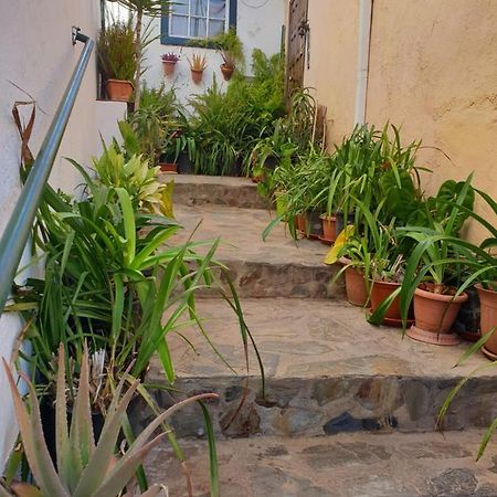 Casa Apartamento Los Llanos لوس يانوس دي أريداني المظهر الخارجي الصورة