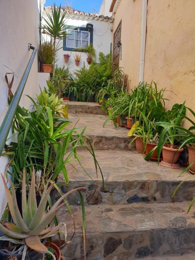 Casa Apartamento Los Llanos لوس يانوس دي أريداني المظهر الخارجي الصورة